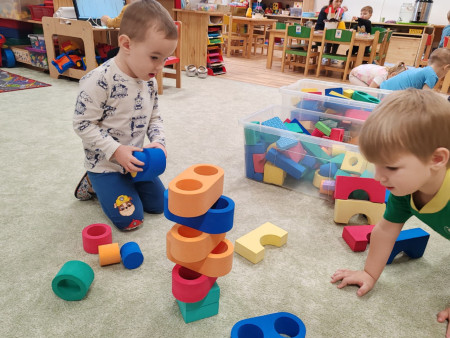 Poznáváme krásy lesa